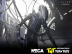 NEC51743