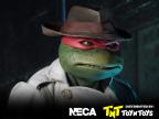 Raphael Disguise 18 inches