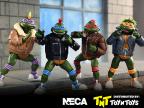Teenage Ninja Ninja Turtles Punk Turtles 4 Pack