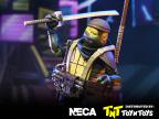 Yi (Re-Evolution) The Last Ronin