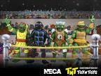 Stump Wrestling Turtles 4 Pack