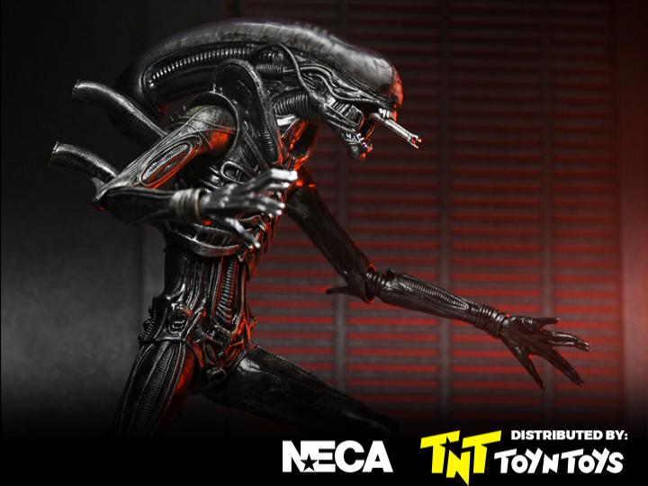 Ultimate Xenomorph XX121