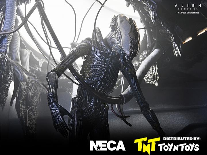 Romulus Deluxe Suspended Lab Xenomorph XX121