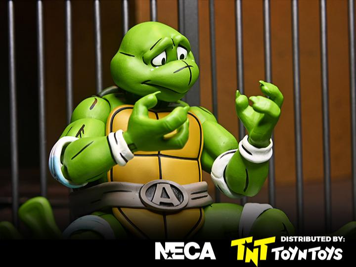 April as the 5th Turtle