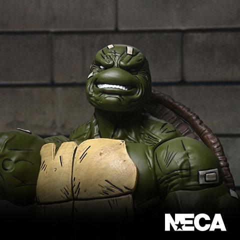 Ninja Turtles Battle Damaged Ronin